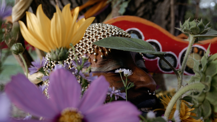 Nahaufnahme einer Person, deren Gesicht teilweise von Blumen und Blättern verdeckt ist. Im Vordergrund sind unscharfe violette Blüten, gelbe Blütenblätter und grüne Pflanzen zu sehen. Die Person trägt ein glitzerndes, goldenes Kopfelement und auffälliges Make-up. Im Hintergrund ist ein rotes, dekoratives Objekt mit runden Elementen zu erkennen. Die Bildkomposition wirkt dicht, sinnlich und poetisch, mit starkem Fokus auf Texturen, Farben und florale Details.